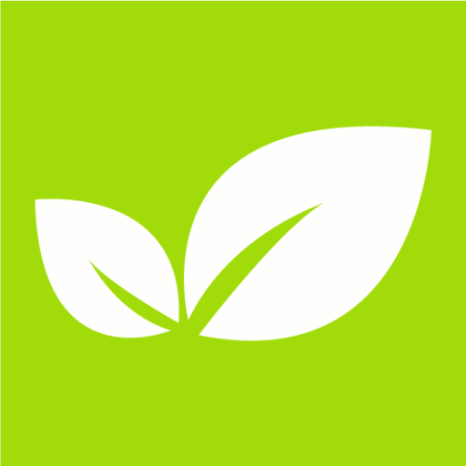 Himalayan Green Natural Skincare and Sunscreen Products