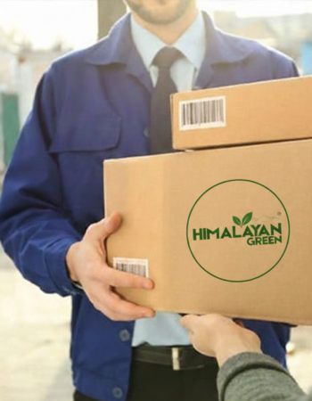 Gemini_Generated_Image_hlia8qhlia8qhlia